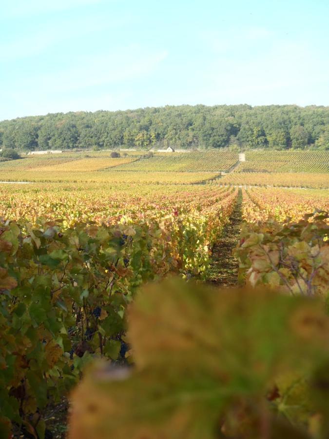 La Maison Du Gue Ecutigny エクステリア 写真